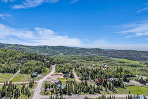 Drone / aerial view of a heavily wooded area and mountains