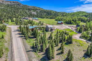 Bird's eye view of a forest and a mountainous background