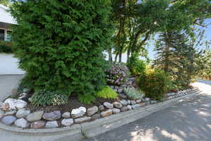 Mature landscaping