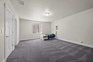 Very Large Bedroom in the Basement—Perfect for Extended Stay Guests or Additional Living Space