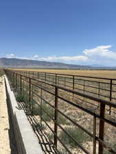 View of equestrian trail