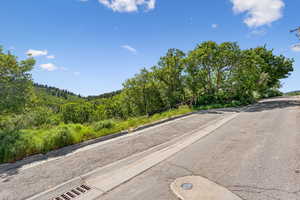 View of asphalt street featuring curbs and a forest view