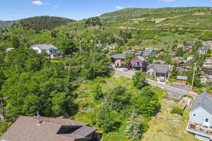 Aerial perspective of suburban area featuring a mountainous background and a heavily wooded area