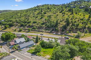 Aerial view of a forest