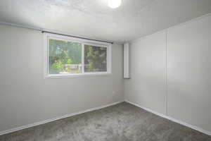 Empty room featuring a textured ceiling and carpet floors