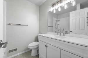 New Large Vanity, New Toilet, New Lighting