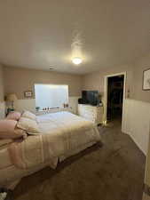 Bedroom with wainscoting, a walk in closet, and dark carpet