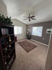 Sitting room featuring carpet flooring, a ceiling fan, lofted ceiling, and a textured ceiling