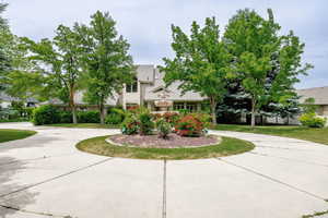 Obstructed view of property with curved driveway, a tiled roof, and a front yard