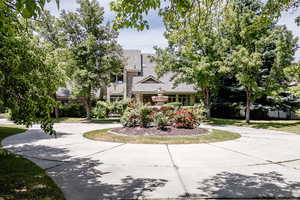 View of property hidden behind natural elements with curved driveway