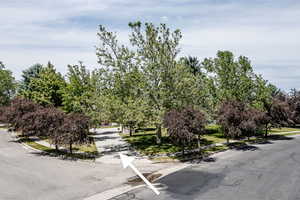 View of asphalt road with sidewalks and curbs