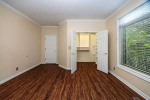 Unfurnished bedroom with ornamental molding, wood finished floors, a walk in closet, and a closet