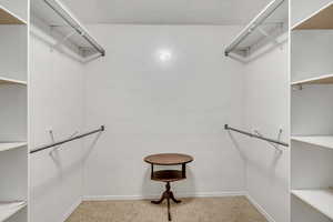 Primary Bedroom. Spacious  walk-in closet featuring carpet