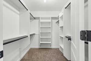 Walk in closet with dark carpet
