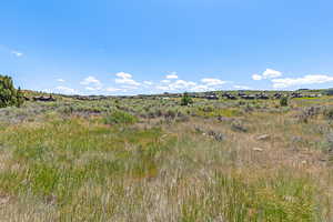 View of local wilderness featuring rural landscape