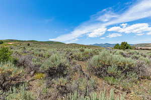 View of mountain background