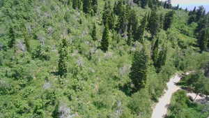 Aerial overview of property's location featuring a heavily wooded area