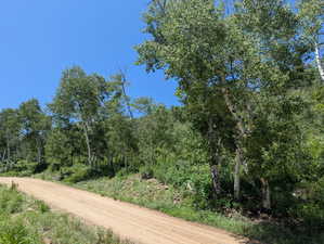 View of dirt / gravel road