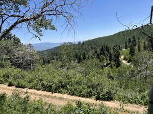 View of mountain background with a heavily wooded area