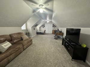 Versatile space that could be used as a bedroom, rec room, movie room, etc.