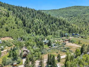 Aerial overview of property's location featuring a forest and a mountain backdrop