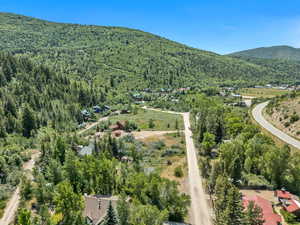 Aerial view of property's location with a forest and a mountain backdrop