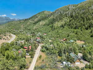 View of mountain background with a forest