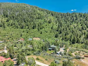 Drone / aerial view of a forest