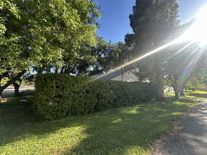 View of home's exterior with a lawn and private lot