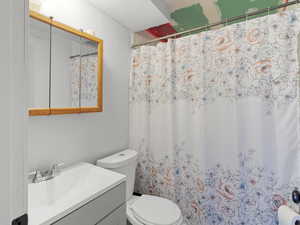 Bathroom featuring vanity and a shower with curtain