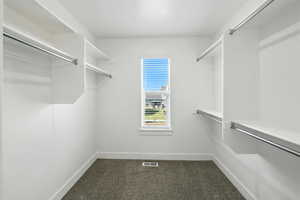 Spacious closet with dark carpet