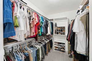 Walk in closet featuring carpet