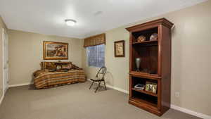 Living area featuring carpet flooring