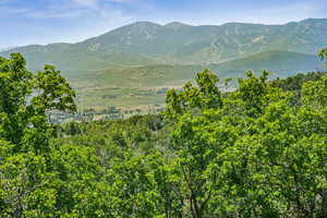 View of mountain background