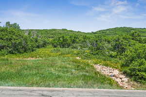 Mountain view with a forest