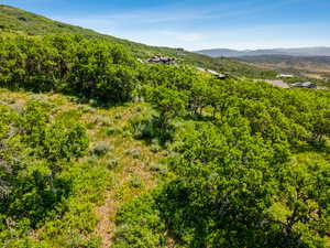 View of mountain backdrop with a heavily wooded area