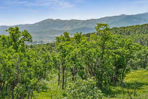 View of mountain backdrop with a forest