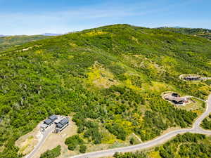 Aerial view of a forest and a mountainous background