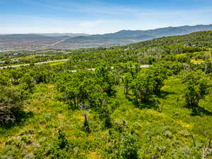 View of mountain background with a heavily wooded area