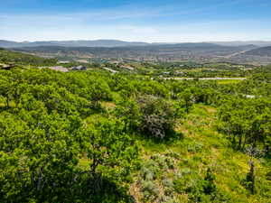 View of mountain backdrop with a heavily wooded area