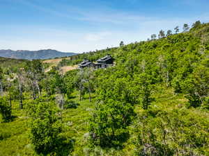 View of mountain background featuring a heavily wooded area