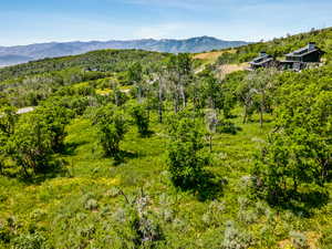 View of mountain background featuring a heavily wooded area