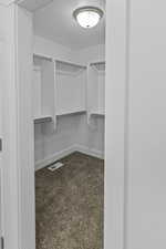 Spacious closet with carpet