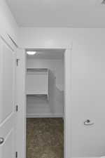 Walk in closet with carpet