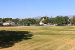 View of parcel from the West property line
