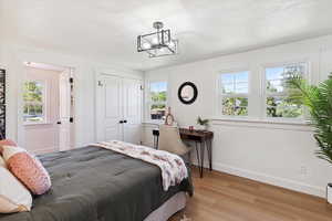 Bedroom with light wood-style floors, multiple windows, and a closet