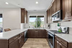 Kitchen featuring appliances with stainless steel finishes, light wood-style floors, a peninsula, light countertops, and recessed lighting