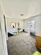 Game room with carpet floors and a textured ceiling