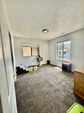 Recreation room featuring a textured ceiling and carpet flooring