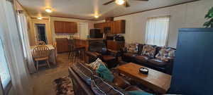 Living room with ceiling fan